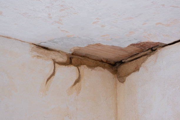 Fire Damage Restoration in Lake Success, NY
