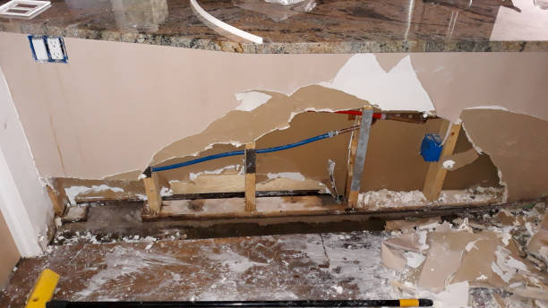 Best Fire Damage Restoration  in Lake Success, NY