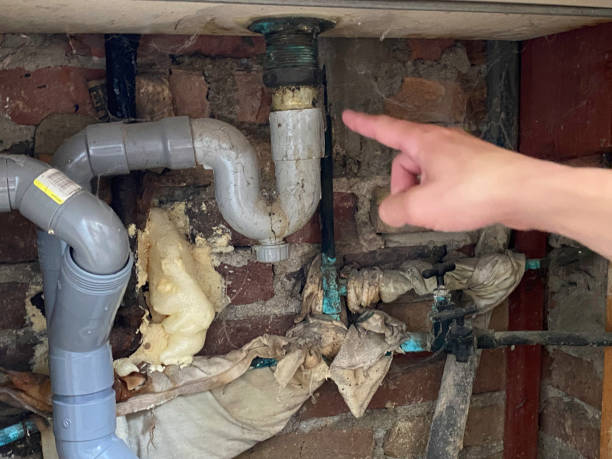 Best Water damage cleanup near me  in Lake Success, NY